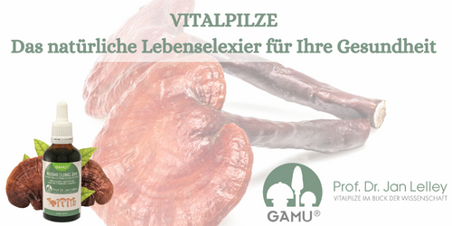 Vitalpilze - Pilze schenken uns Gesundheit - by Gamu